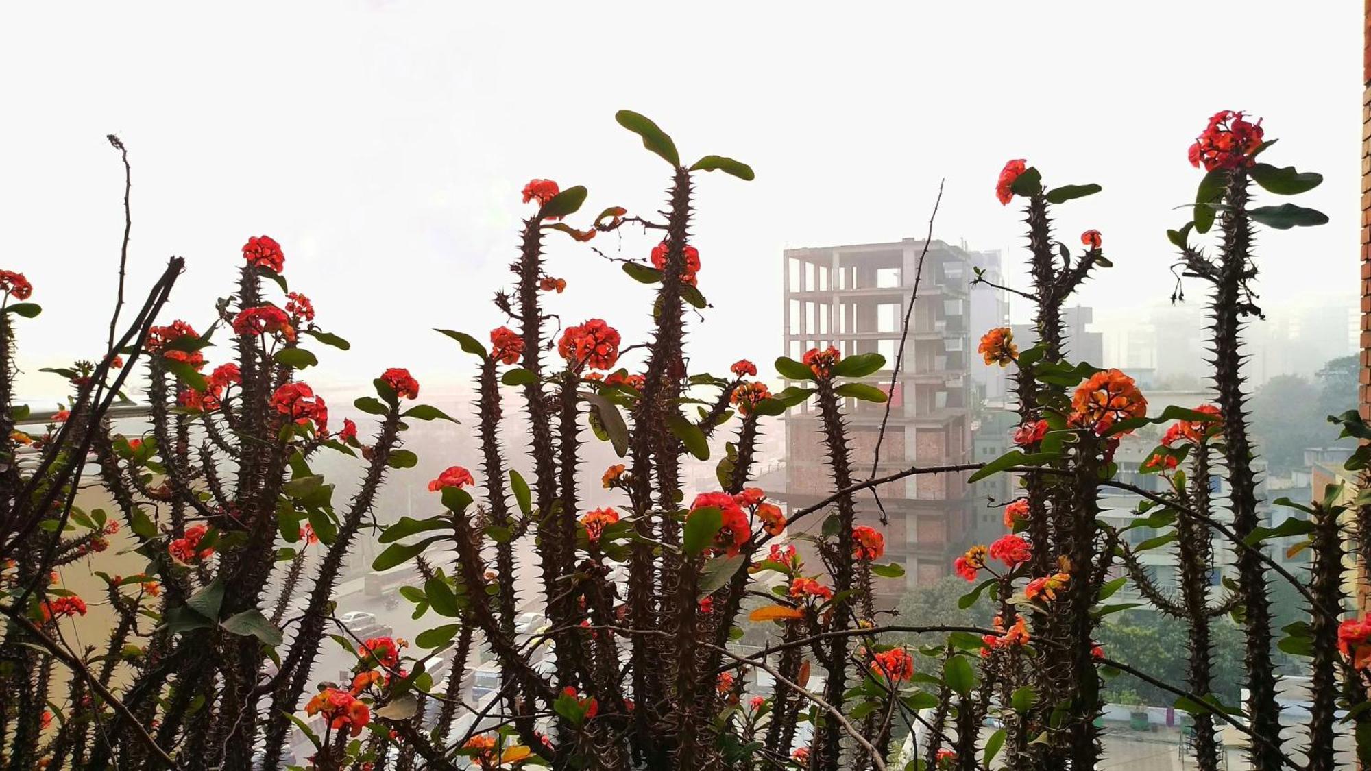 Hotel Afford Inn Dhaka Luaran gambar